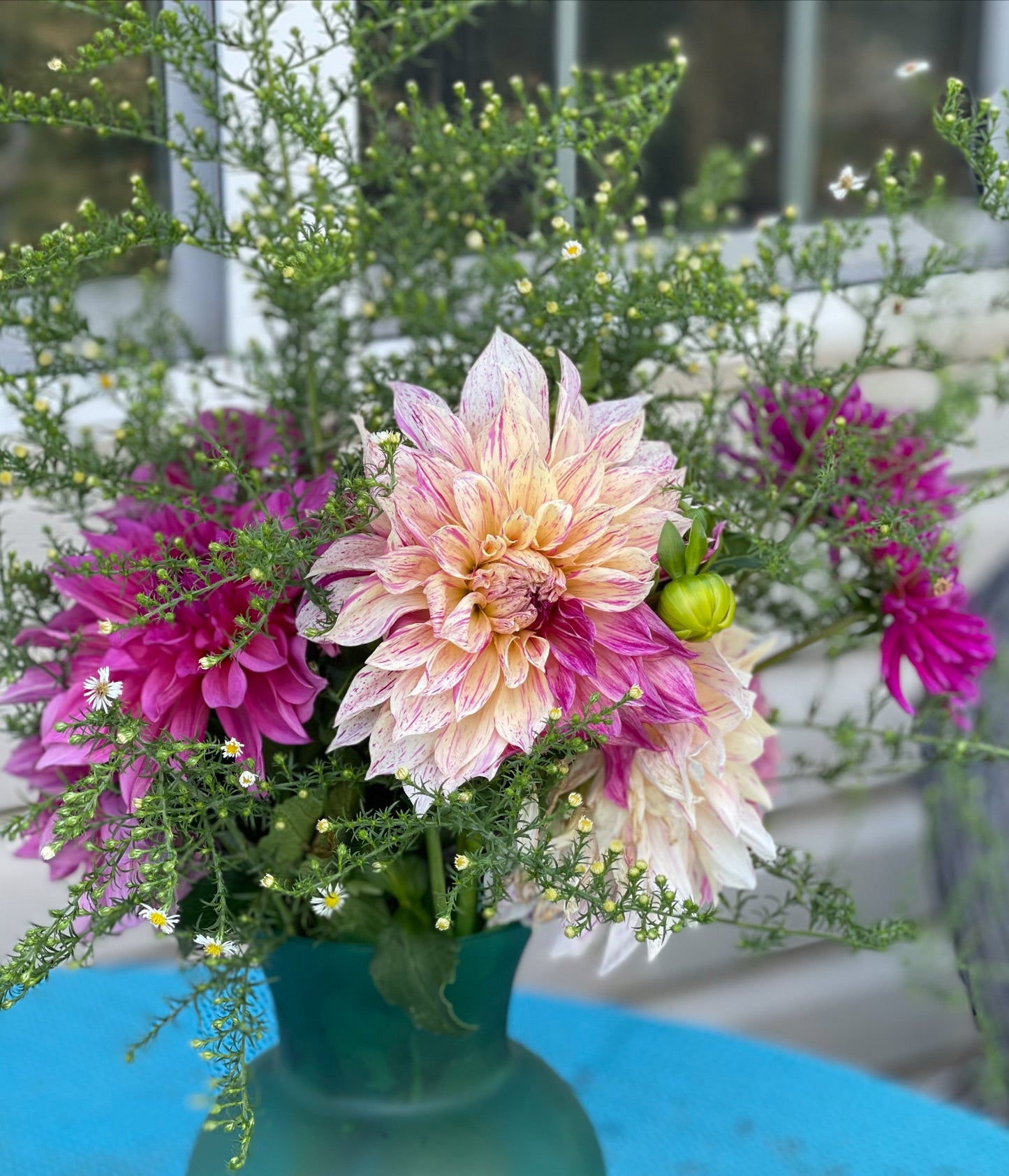 Cafe Au Late Twist Dahlia