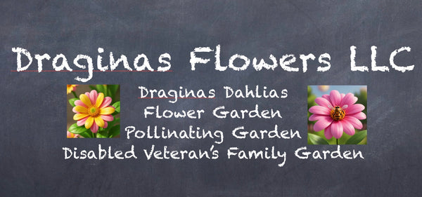 Draginas Flowers LLC