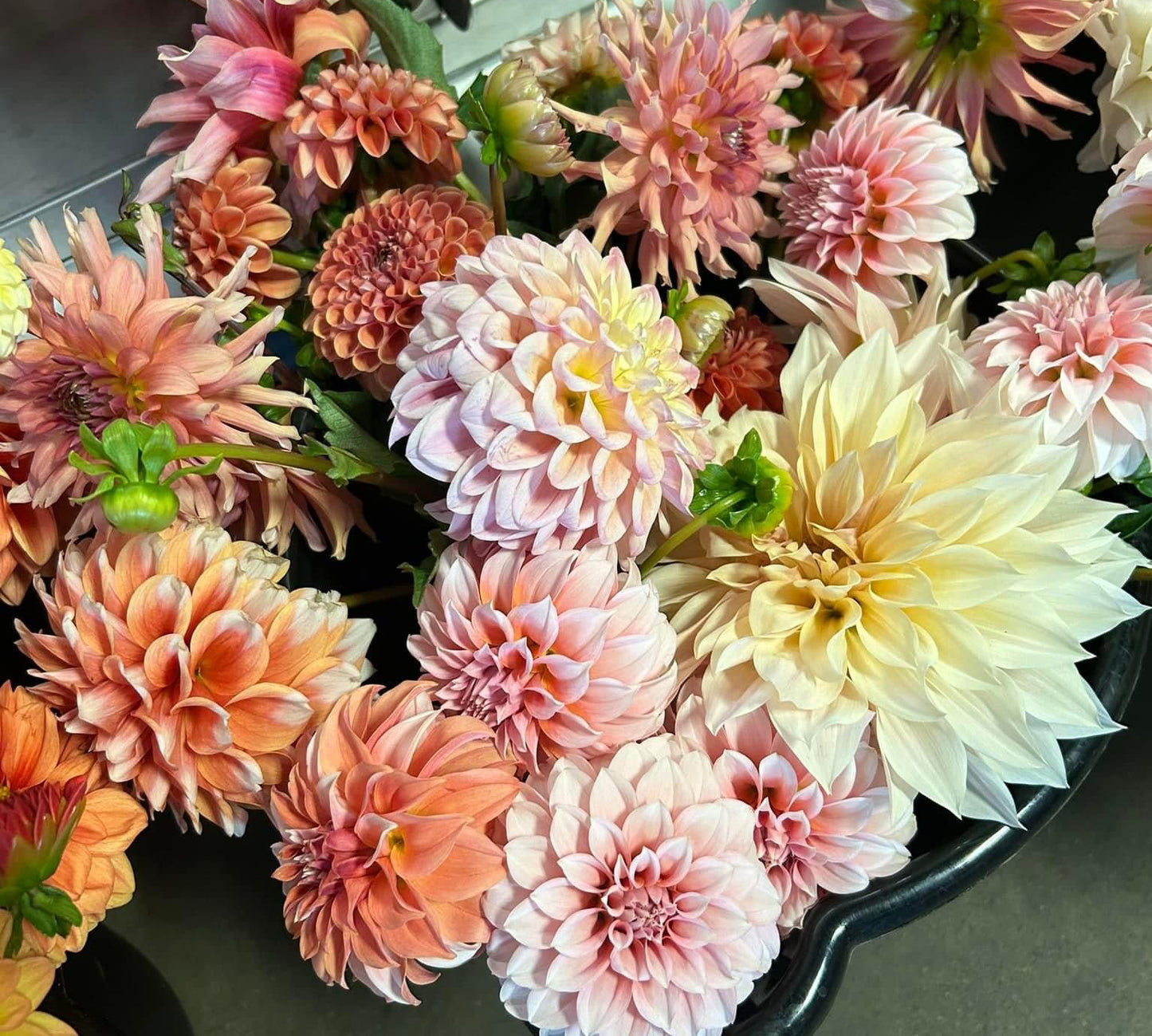 Draginas Flowers Digital Gift Card